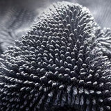 Warp-knitted fabric